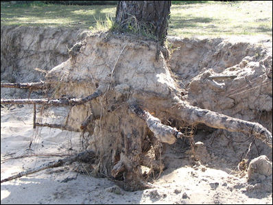 20120601-sea level Bois_de_Trousse-Chemise_-erosion.JPG